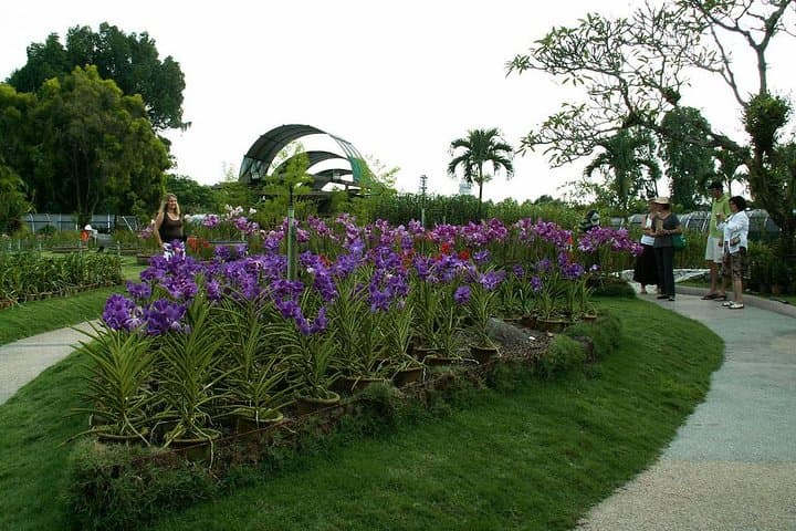 Inside KL's Bird Park and Butterfly Farm: Half-Day Nature Tour from Kuala Lumpur photo 3
