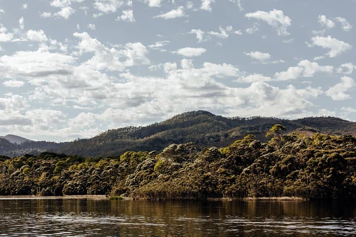Pillinger Explorer: Strahan to Hells Gates Cruise Aboard MV Sophia photo 6