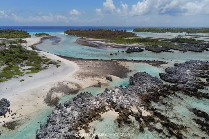 Reef Island Motu Day — Rangiroa Pink Sand, Natural Pools & Tiputa Pass Dolphins