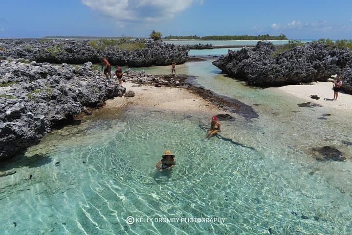 Reef Island Motu Day — Rangiroa Pink Sand, Natural Pools & Tiputa Pass Dolphins photo 6