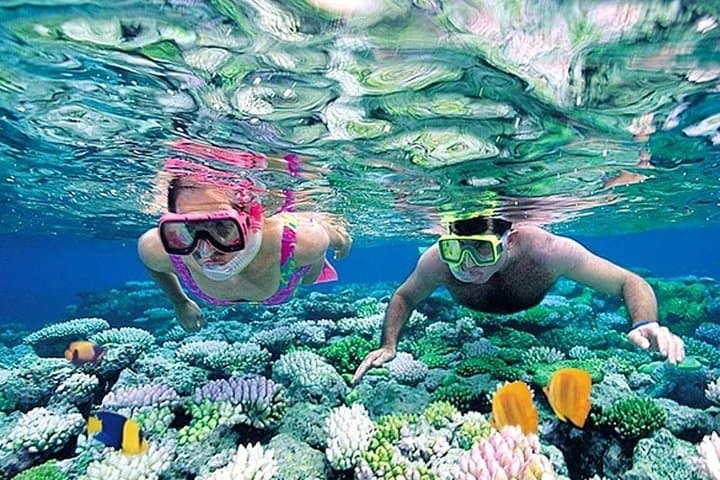 Mirissa Whale Watching Day Tour: Jungle Beach, Galle Fort & Turtle Hatchery photo 4