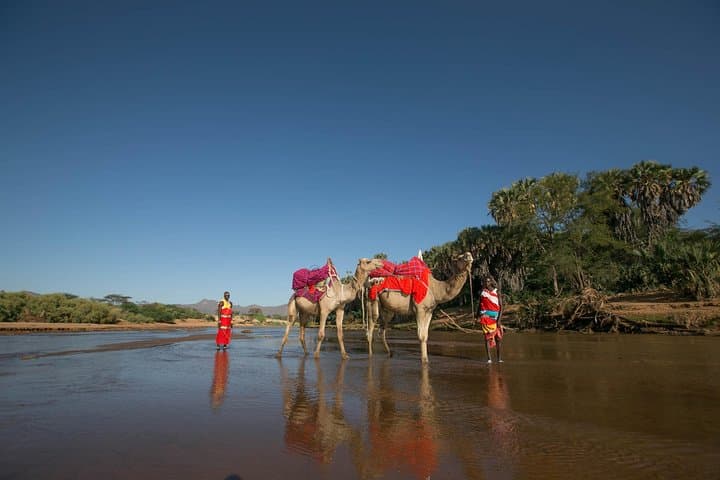4-Day Samburu & Aberdares Safari — Wildlife, Waterholes & Equator Crossing photo 1