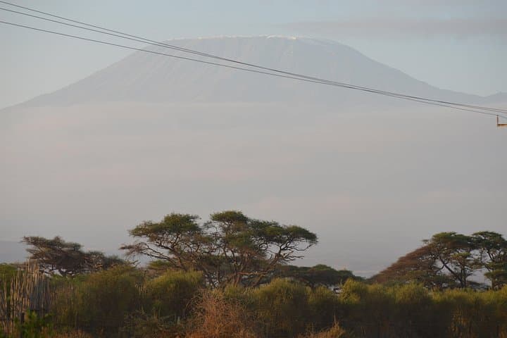 2-Day Amboseli Safari: Elephants, Flamingos & Clear Kilimanjaro Views photo 4