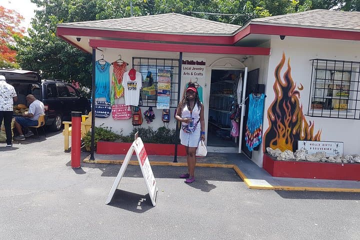 Grand Cayman Scenic Island Tour — Hell, Turtle Centre & Dolphin Discovery (3-hour) photo 4