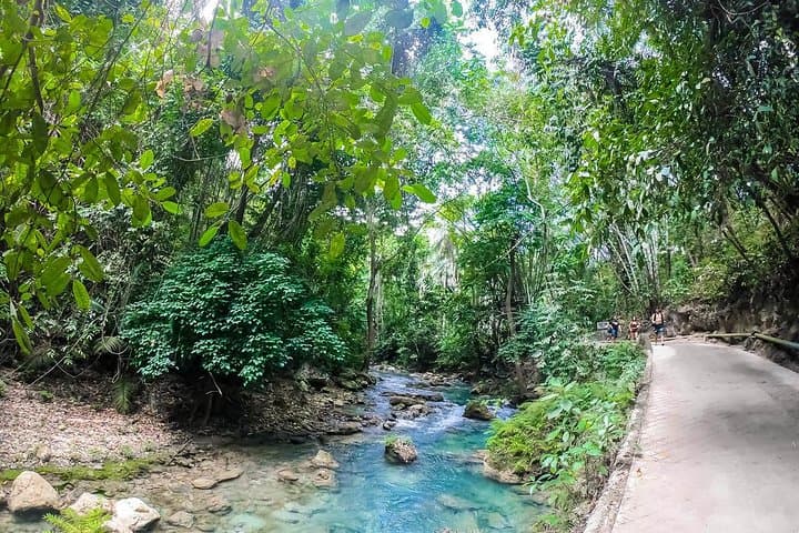 Swim with Oslob Whale Sharks and Chill at Kawasan Falls: Day Tour from Cebu photo 3
