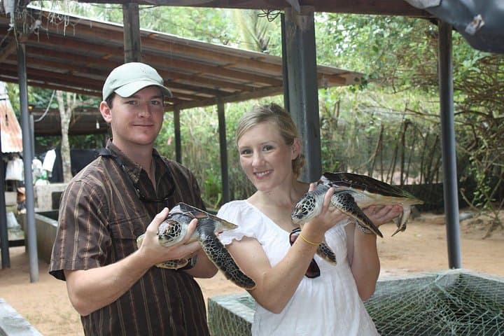 Sri Lanka 12-Day Budget Coastal & Cultural Tour — Beaches, Tea Country & Safaris photo 2