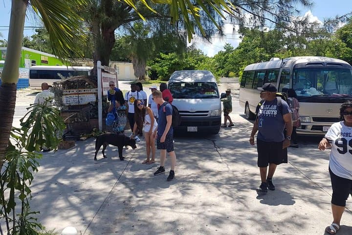 Grand Cayman Scenic Island Tour — Hell, Turtle Centre & Dolphin Discovery (3-hour)