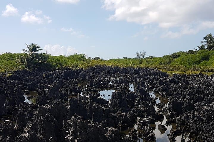 Grand Cayman Scenic Island Tour — Hell, Turtle Centre & Dolphin Discovery (3-hour) photo 3
