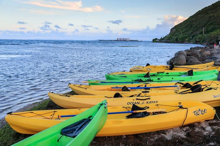 Night Kayaking the Bioluminescent Laguna Grande in Fajardo photo 4