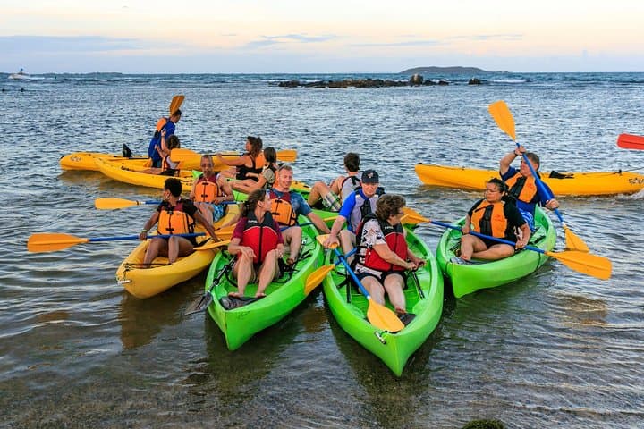 Night Kayaking the Bioluminescent Laguna Grande in Fajardo photo 6