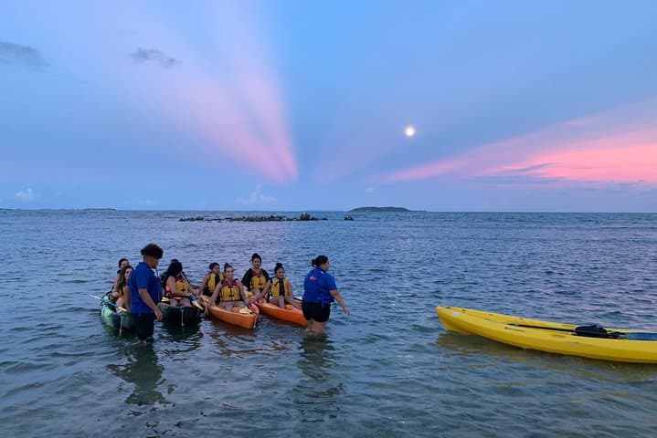 Night Kayaking Laguna Grande: Bioluminescent Bay Tour from Fajardo photo 4