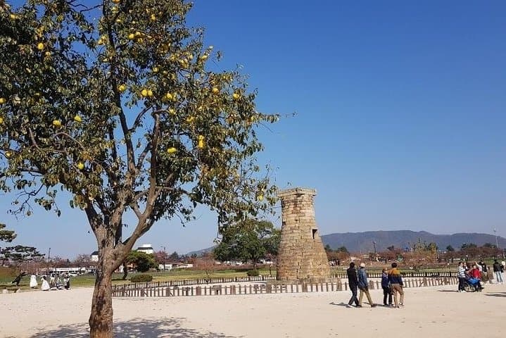 Gyeongju One-Day Tour: Ancient Shilla Kingdom Highlights from Seoul