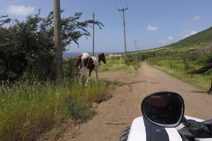 St Kitts Off-Roading Morning Excursion — Buggy Tours on Cane Trails & Local Beaches photo 3