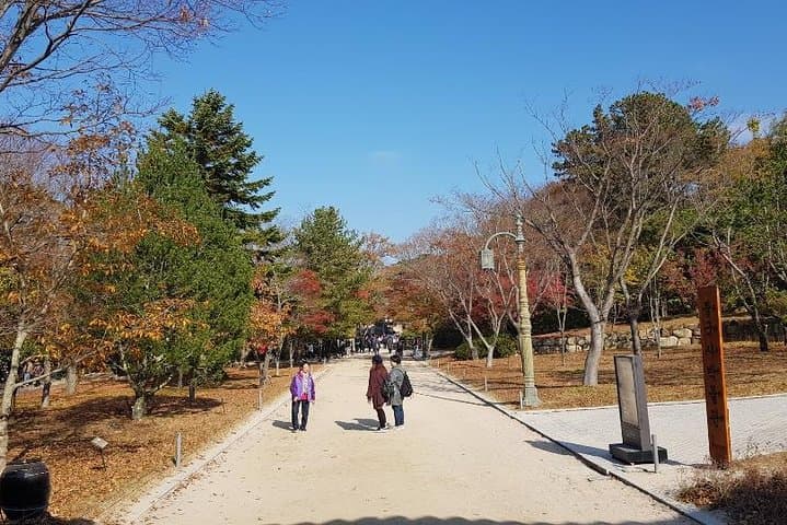 Gyeongju One-Day Tour: Ancient Shilla Kingdom Highlights from Seoul photo 3