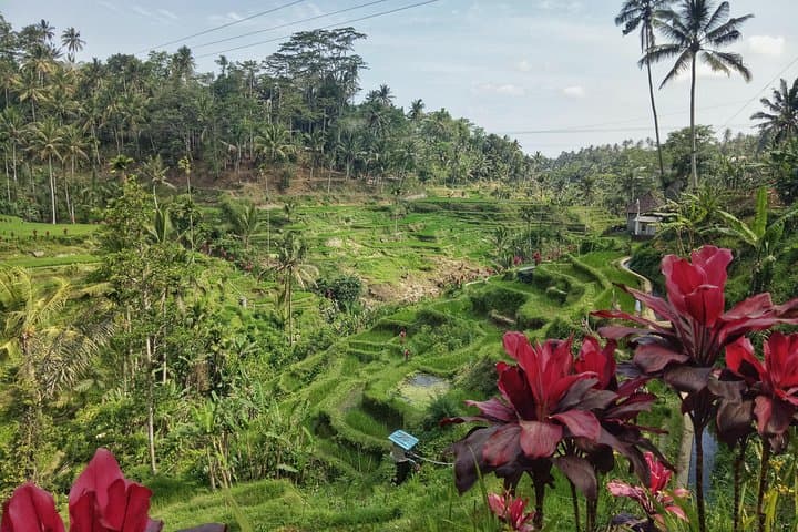 Ubud Best Selection Tour: ATV, Kanto Lampo Waterfall & Tegalalang Rice Terraces photo 3