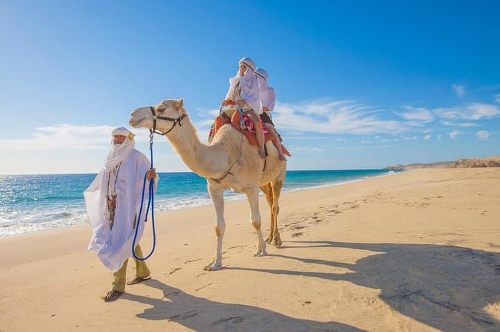 Outback Camel Ride in Cabo: Desert Safari, Tequila & Cacao at Tierra Sagrada photo 6