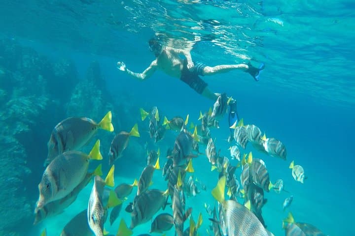 Land's End & Glass-Bottom Snorkel Tour — Pelican's Rock and Lover's Beach, Cabo San Lucas
