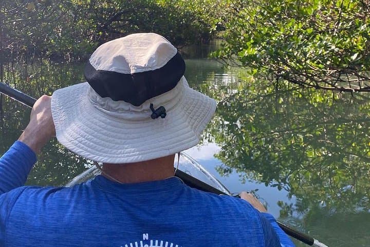 Clear Kayak Tours in Fort Pierce — Mangrove Tunnel Paddle & Wildlife Viewing photo 2