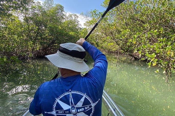 Clear Kayak Tours in Fort Pierce — Mangrove Tunnel Paddle & Wildlife Viewing photo 4