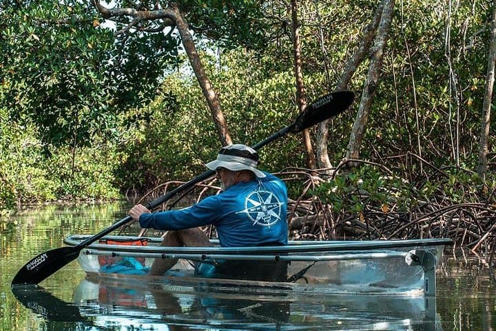 Clear Kayak Tours in Fort Pierce — Mangrove Tunnel Paddle & Wildlife Viewing