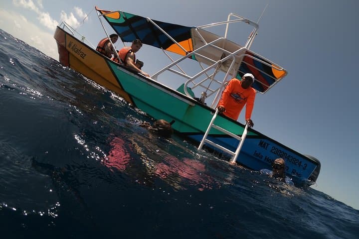 Swim with Whale Sharks: Private Holbox Tour to Cabo Catoche photo 2