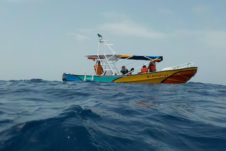 Swim with Whale Sharks: Private Holbox Tour to Cabo Catoche photo 3