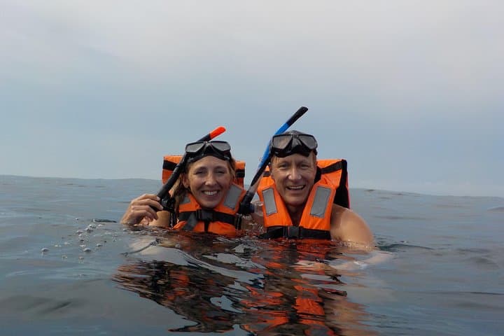 Swim with Whale Sharks: Private Holbox Tour to Cabo Catoche photo 4