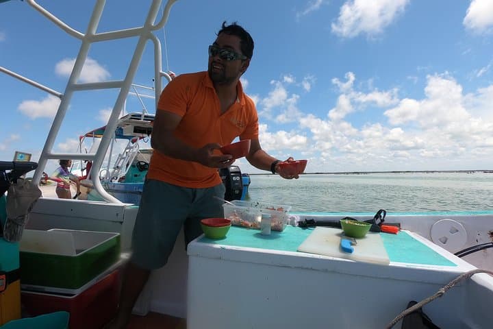 Swim with Whale Sharks: Private Holbox Tour to Cabo Catoche photo 6