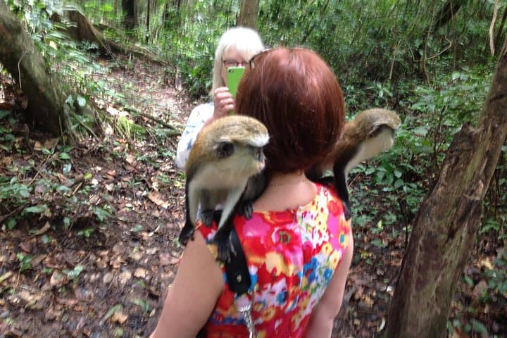 Guided Tours in Ghana: Volta, Accra, Cape Coast & Kakum Canopy Walk