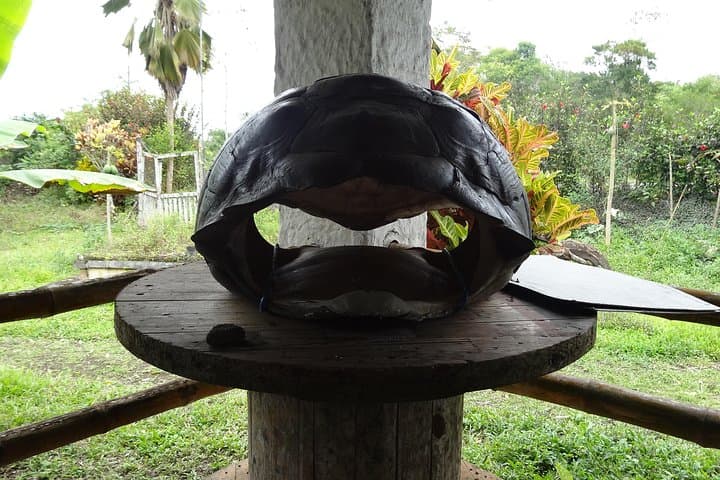 Santa Cruz Transfer and Giant Tortoise Reserve Visit with Highlands Stops photo 5