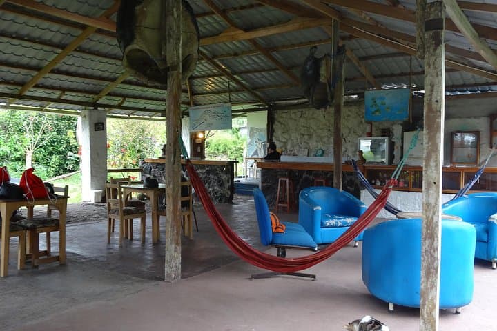 Santa Cruz Transfer and Giant Tortoise Reserve Visit with Highlands Stops photo 6