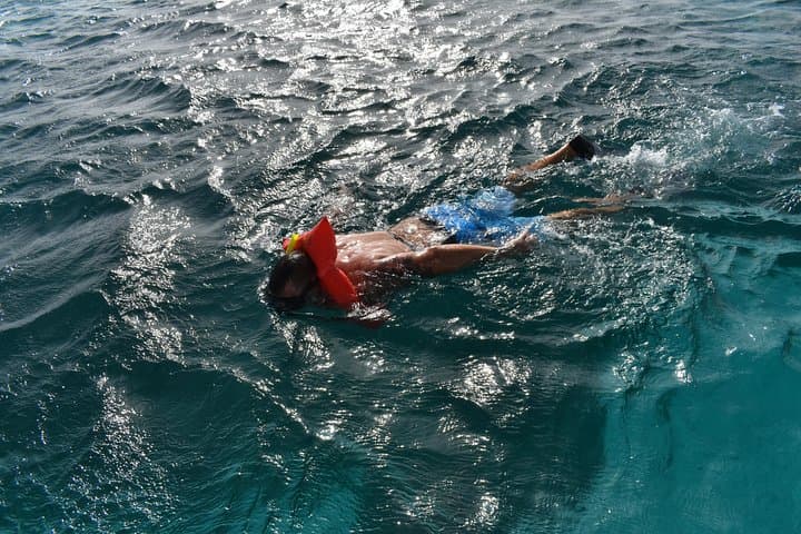 Private Half-Day Catamaran Charter in Aruba — Snorkel, Sails & Open Bar photo 5