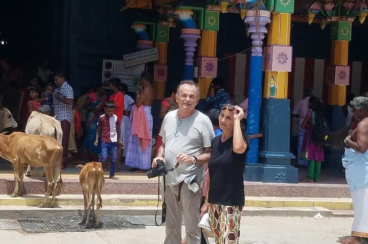 Around Sri Lanka: 10-Day Private Cultural and Scenic Tour