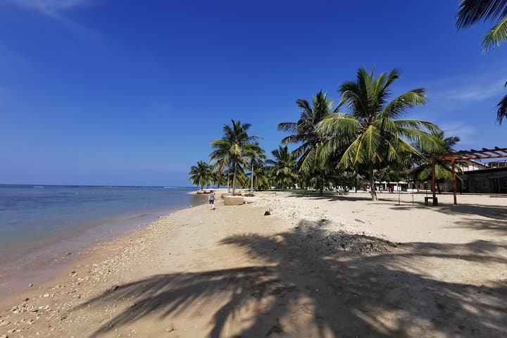 Around Sri Lanka: 10-Day Private Cultural and Scenic Tour photo 6