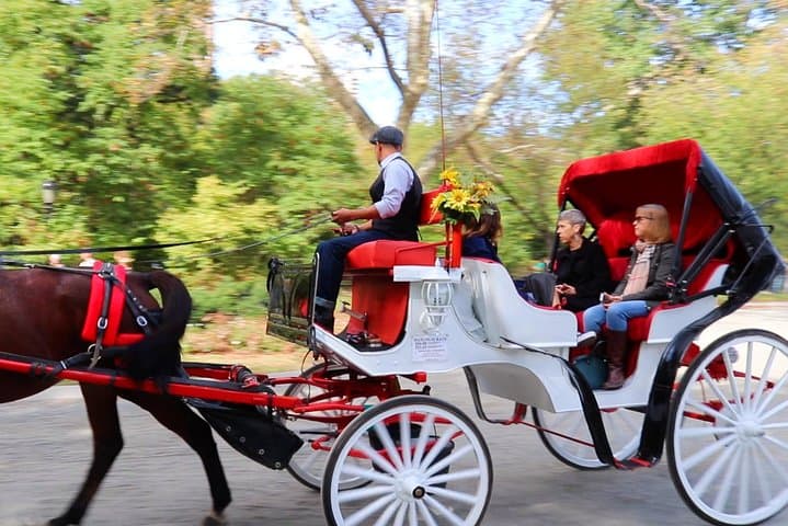 Central Park Horse Carriage Ride: 45-Minute Scenic Tour from Columbus Circle photo 1
