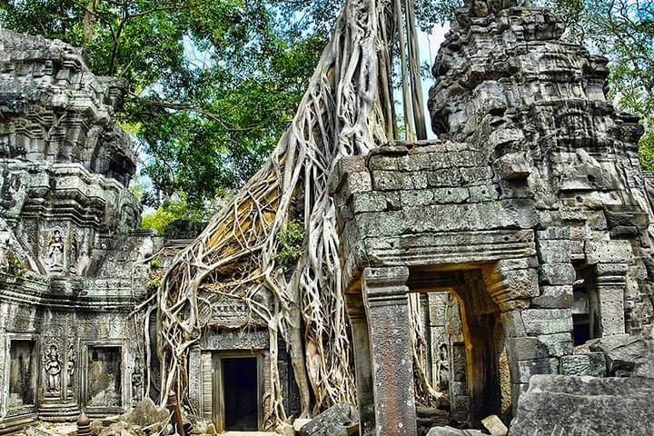 Angkor Wat Small-Group Exploration with Expert Guide — Full-Day Angkor Archaeological Park Tour photo 6