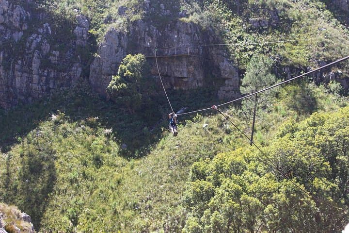 Cape Canopy Zipline Tour Elgin — Ziplining Over the Riviersonderend Gorge photo 6