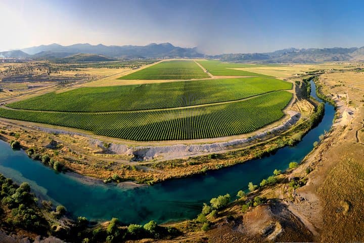 Sipcanik Wine Cellar Tasting: Five-Wine Tour Near Podgorica photo 5