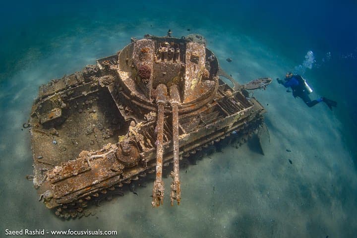 Aqaba Scuba Diving for Certified Divers — Red Sea Boat Dives & Snorkel Trips photo 2