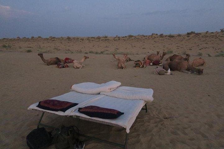 Overnight Desert Safari from Jaisalmer: Dunes, Kuldhara & Camel Ride photo 6