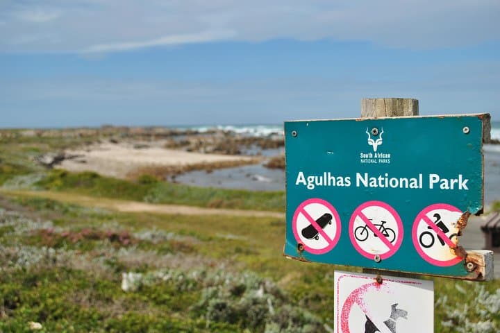 cape-agulhas-full-day-private-tour-southernmost-tip-day-trip photo 3