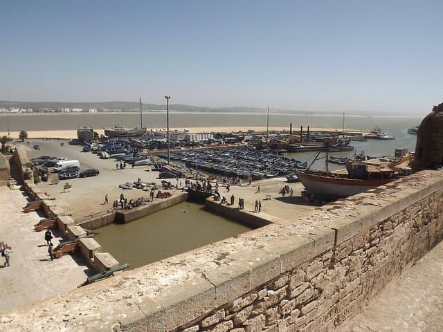 Essaouira Day Trip from Marrakech — Coastal Medinas, Argan Groves & Fishing Port photo 6