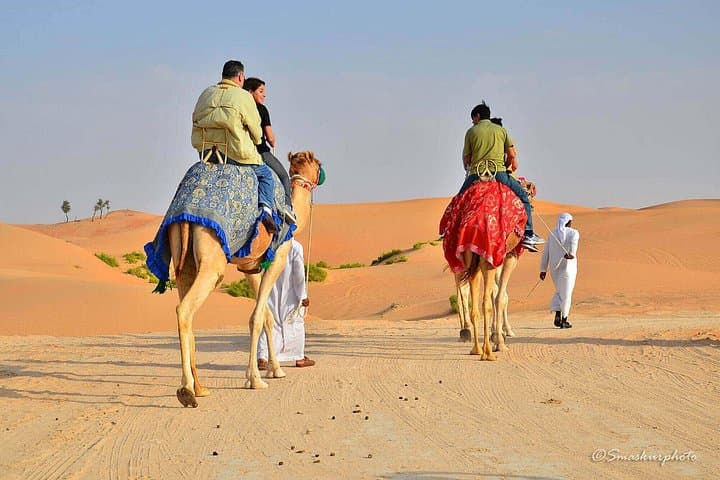 Dubai Morning Desert Safari: 4x4 Dune Bashing, Camel Ride & Bedouin Camp photo 4