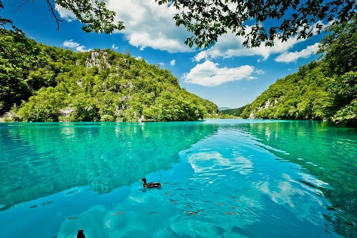 From Split to Zagreb: Full-Day Guided Tour of Plitvice Lakes National Park photo 6