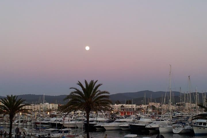 Sailing Café del Mar: Private Catamaran Day Charter from San Antonio, Ibiza photo 3