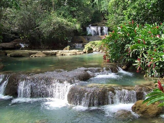 YS Falls and Appleton Rum: South Coast Waterfall & Distillery Day Trip from Montego Bay photo 5