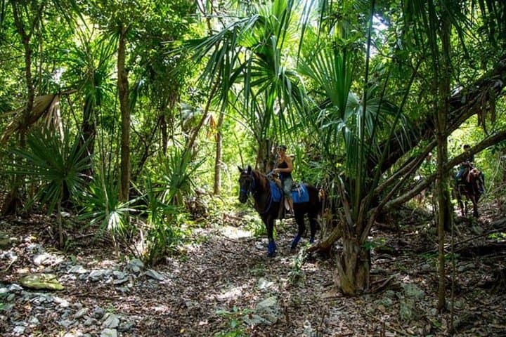 Playa del Carmen Rancho Horseback Ride — 90-Minute Jungle Trail Experience photo 4