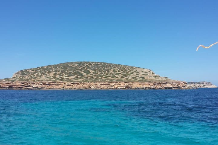 Private Catamaran to Cala Comte: Swim, Paddle & Sunset off Ibiza photo 5