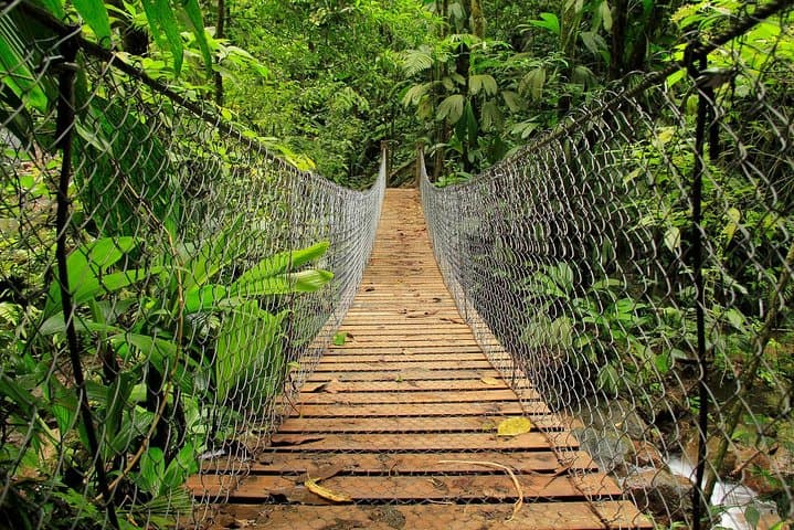 Cerro Azul Meámbar Challenge: Cloud-Forest Hike to Lake Yojoa’s Peaks photo 5