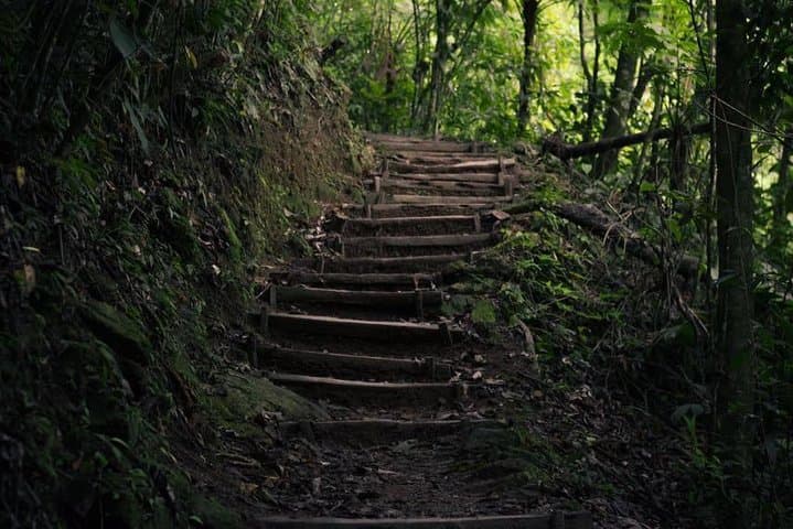Cerro Azul Meámbar Challenge: Cloud-Forest Hike to Lake Yojoa’s Peaks photo 3